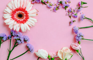Colorful flowers arranged in a circle on a pink background.
