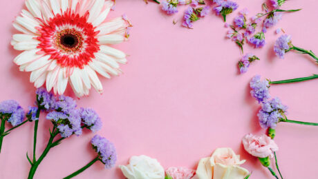 Colorful flowers arranged in a circle on a pink background.
