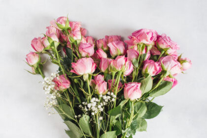 A bouquet of pink roses with baby's breath flowers.