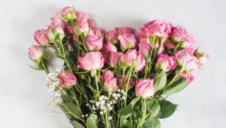 A bouquet of pink roses with baby's breath flowers.