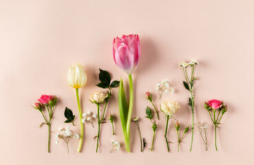 Various flowers in a row against a soft pink background.
